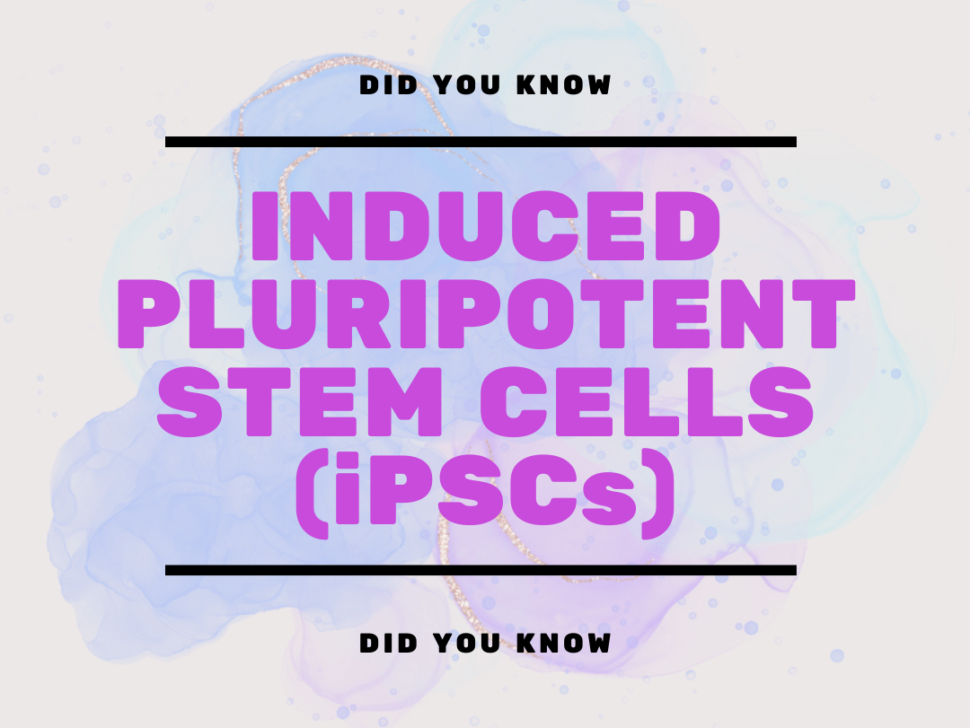 Twinning STREAMLINE project