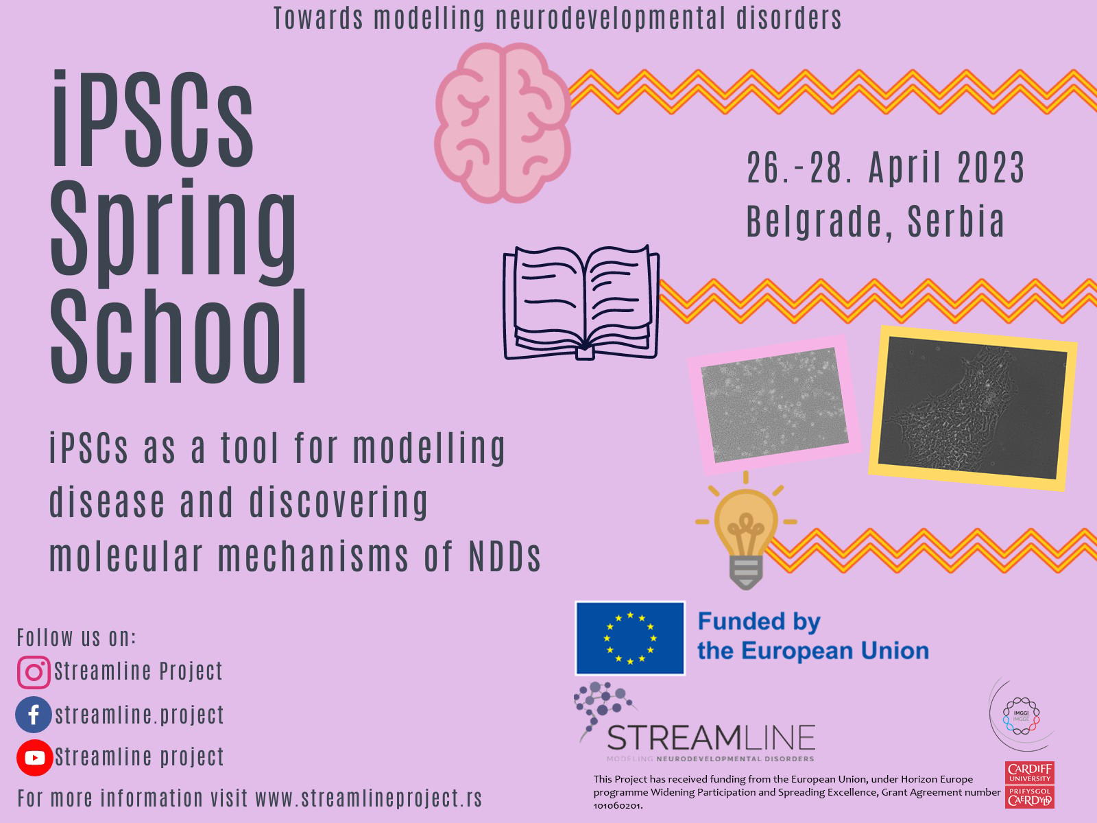 Streamline iPSCs Spring School “iPSCs as a tool for modelling disease and discovering molecular mechanisms of NDDs”