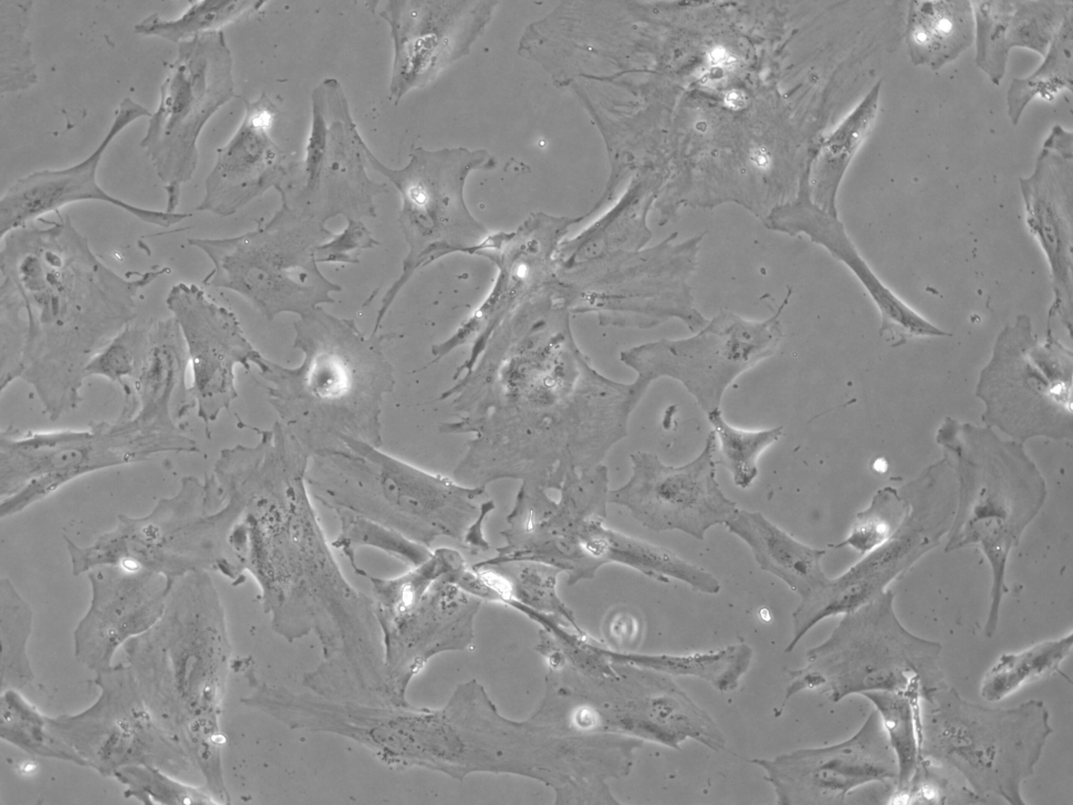 1,3,4214,4UnProcessed