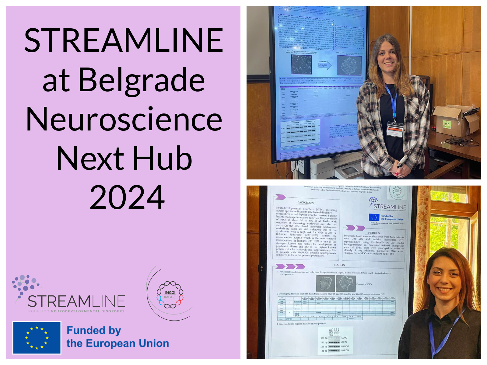 STREAMLINE at Belgrade Neuroscience Next Hub 2024 - Institut za ...
