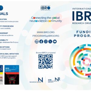 IBRO brochure page2