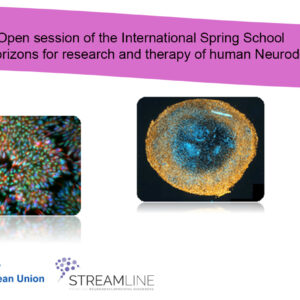 Open session of the International Spring School “Emerging technologies and new horizons for research and therapy of human Neurodevelopmental Disorders (NDDs)”