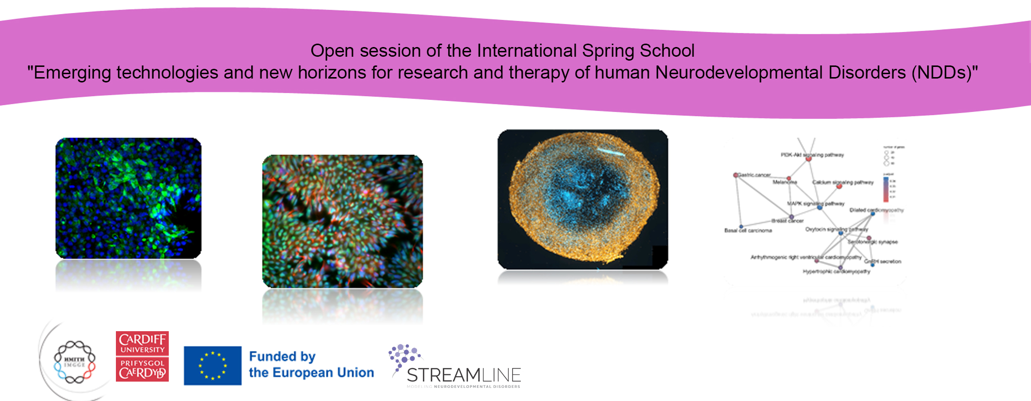 Open session of the International Spring School “Emerging technologies and new horizons for research and therapy of human Neurodevelopmental Disorders (NDDs)”