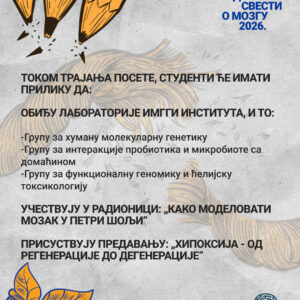 Друга страна